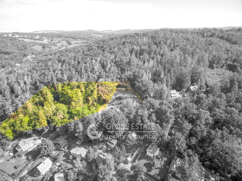 Pozemek horni s lesem DRON